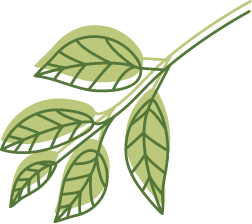 bnnr-leaf
